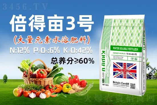 英国卡迪夫（北京）农业科技有限公司4.jpg